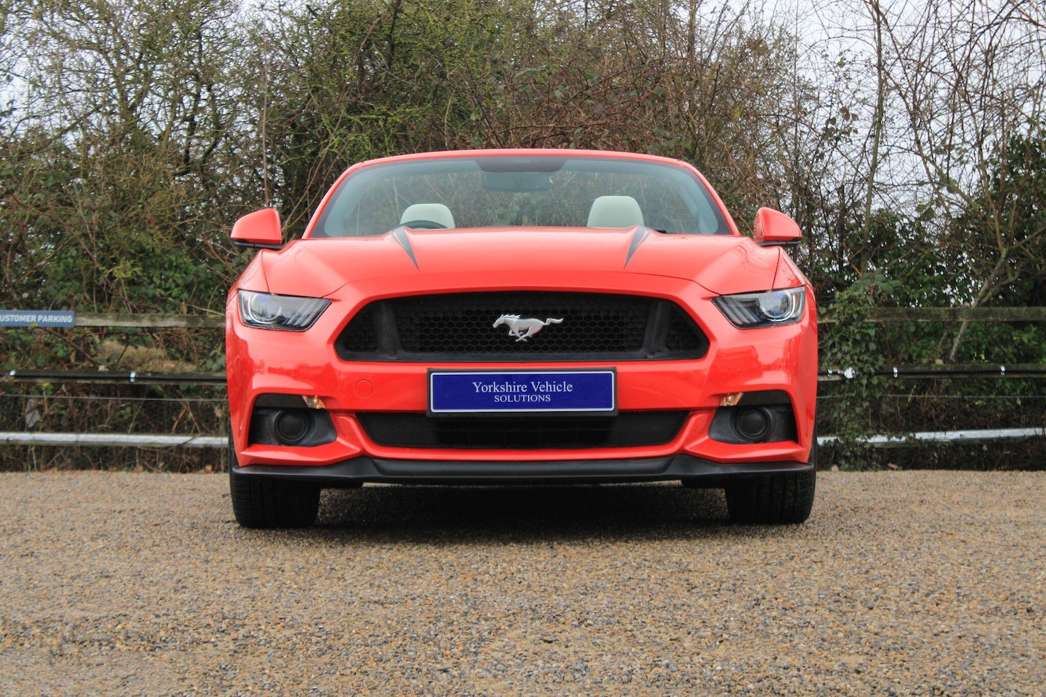 Used Ford Mustang 2017 for sale - 77783198: Photo 43