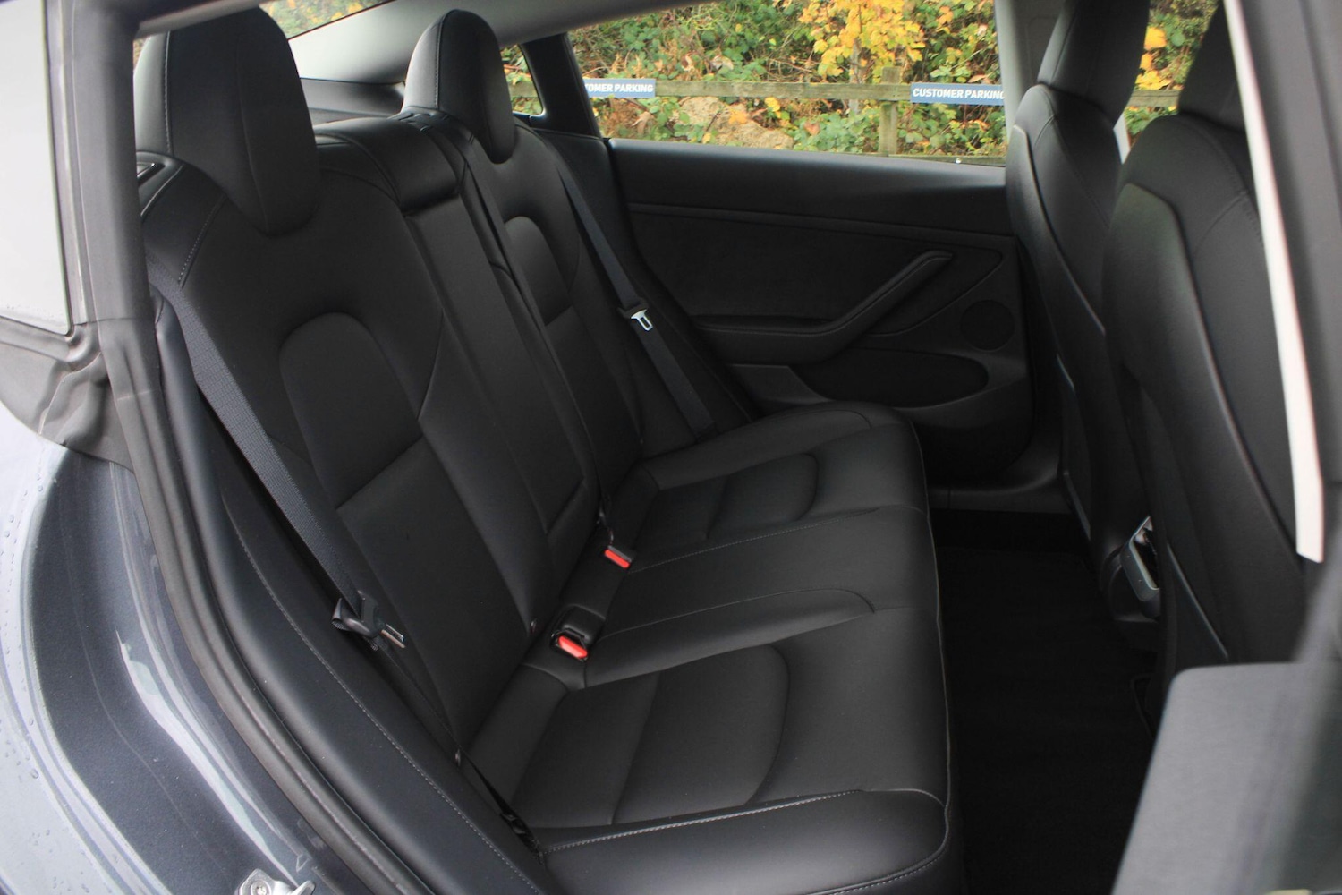 Used Tesla Model 3 2021 for sale - 76561687: Photo 11