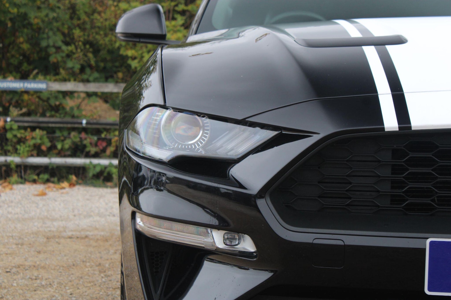 Used Ford Mustang 2020 for sale - 76284320: Photo 39