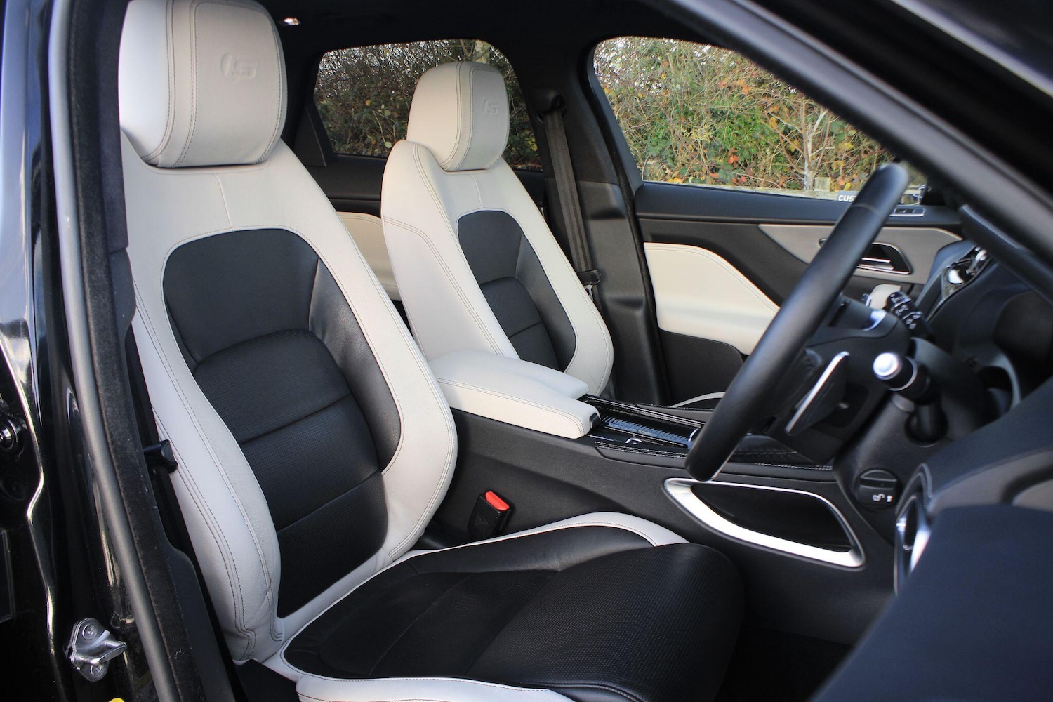 Used Jaguar F-Pace 2019 for sale - 76899055: Photo 3