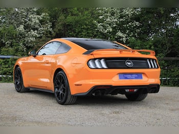 Used Ford Mustang 2019 for sale - 79808161: Photo