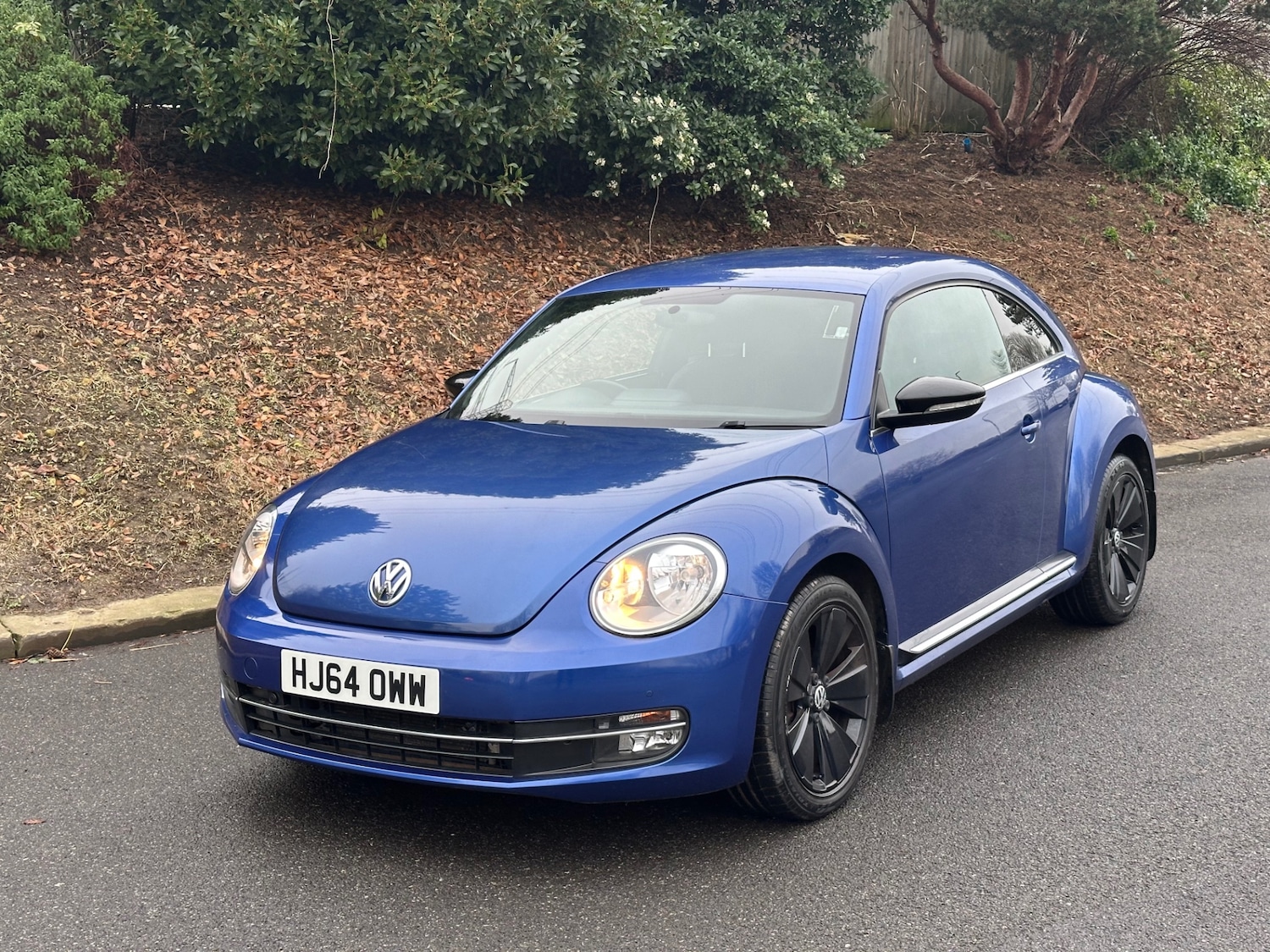 Used Volkswagen Beetle 2014 for sale - 77137391: Photo 3