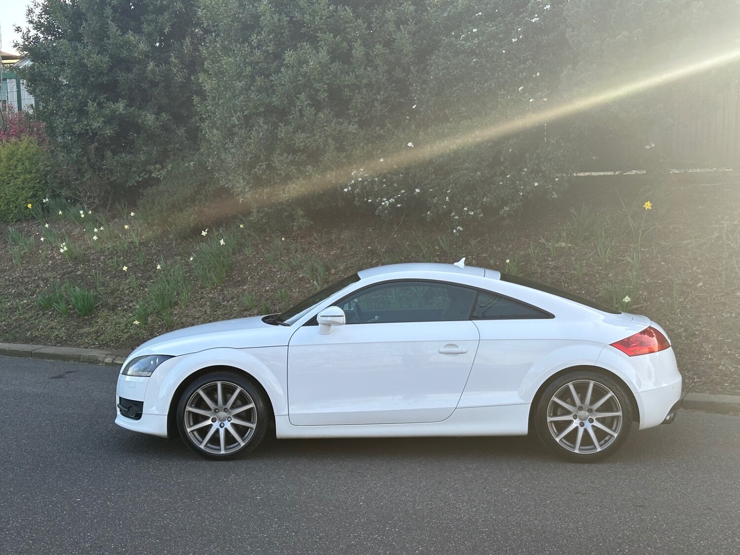 Used Audi TT 2009 for sale - 77934494: Photo 14
