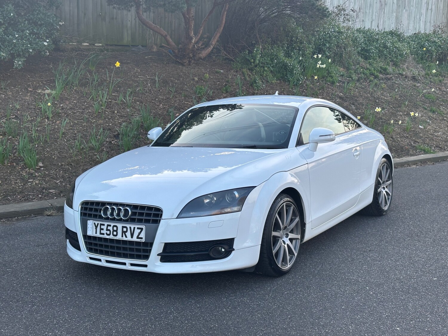 Used Audi TT 2009 for sale - 77934494: Photo 15