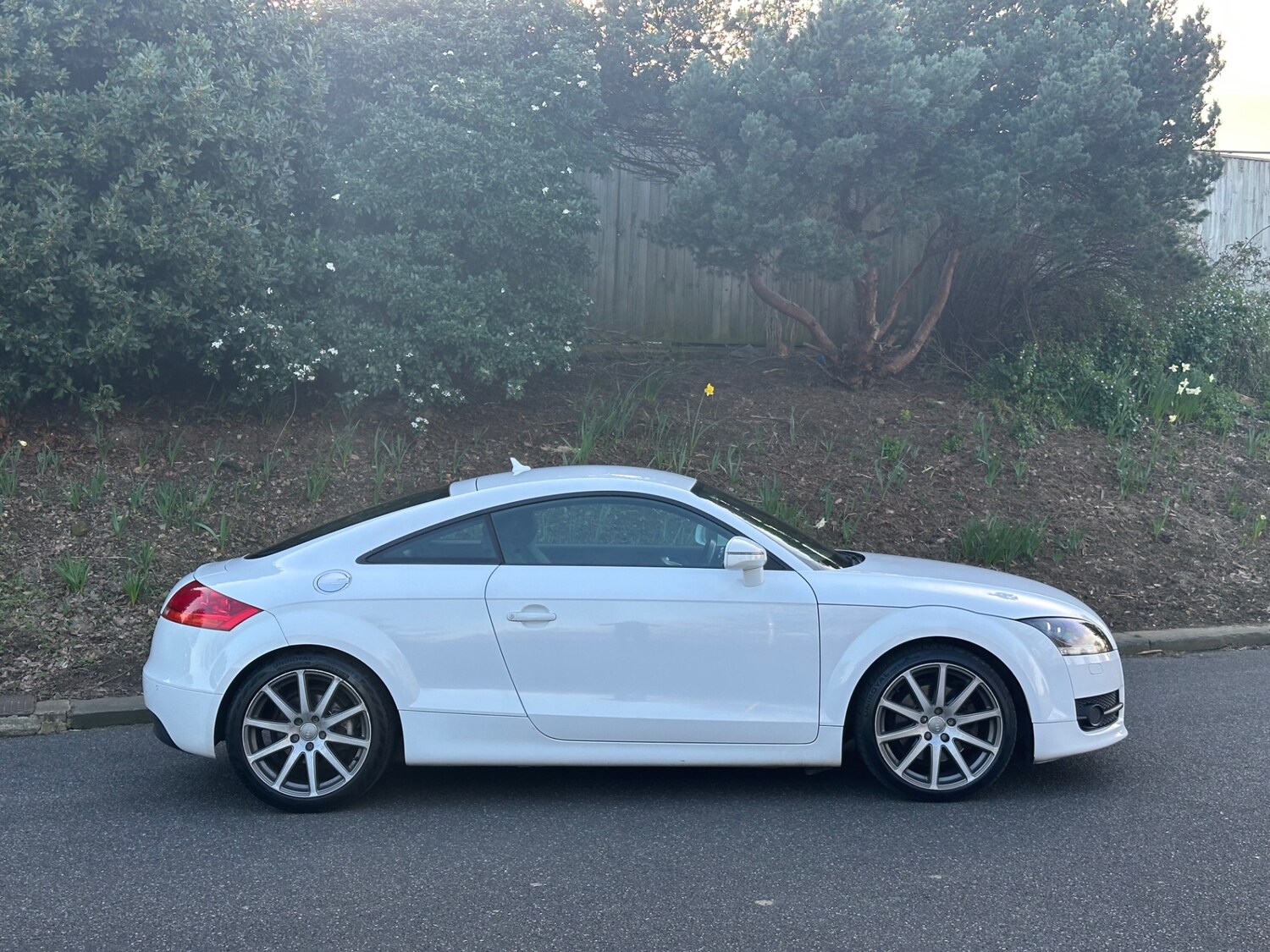 Used Audi TT 2009 for sale - 77934494: Photo 16