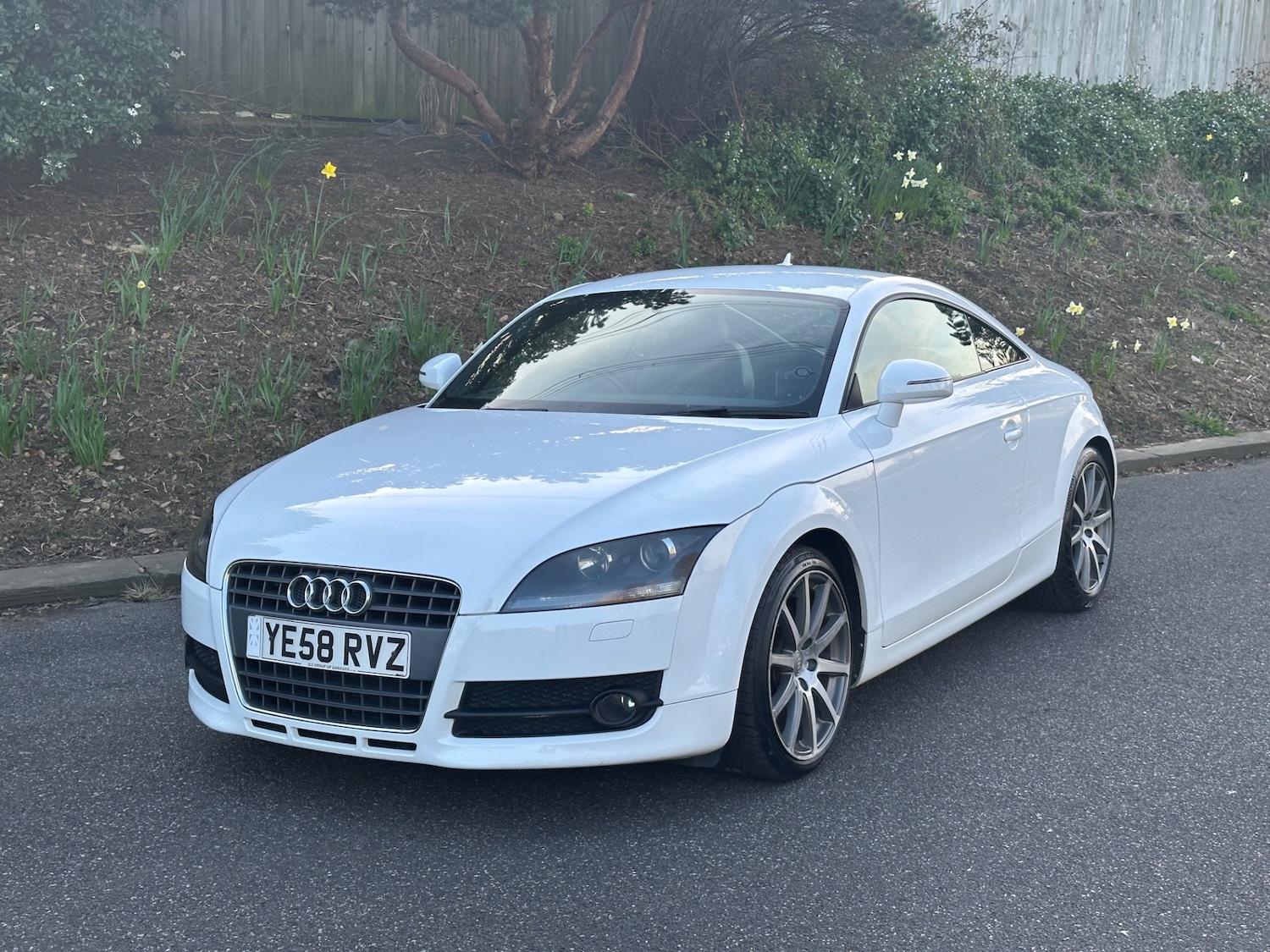 Used Audi TT 2009 for sale - 77934494: Photo 3