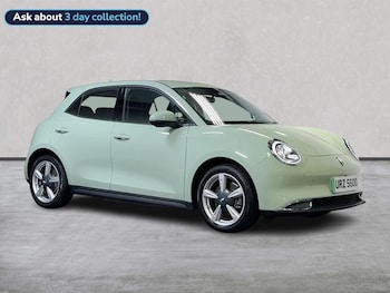 GWM Funky Cat feature image