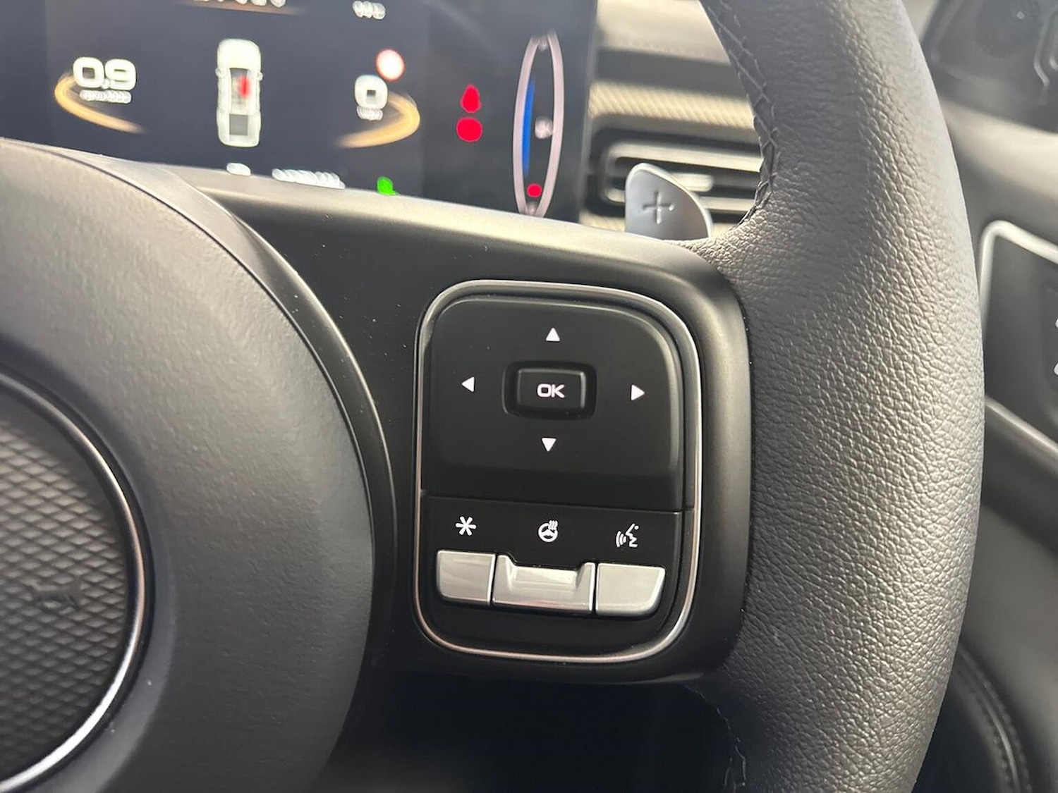 Used GWM POER300 2025 for sale - 76946982: Photo 26