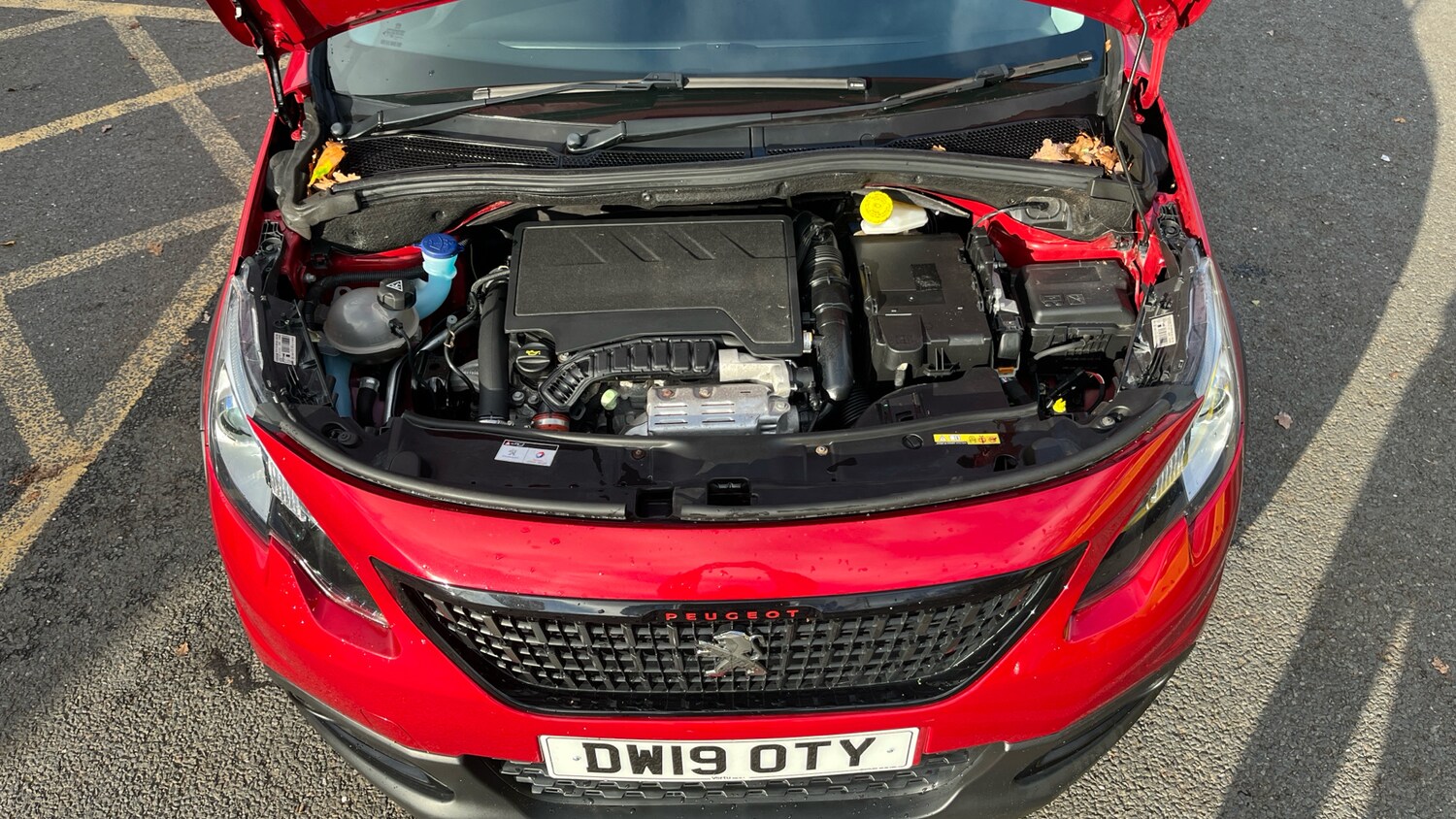 Used Peugeot 2008 2019 for sale - 77616574: Photo 8