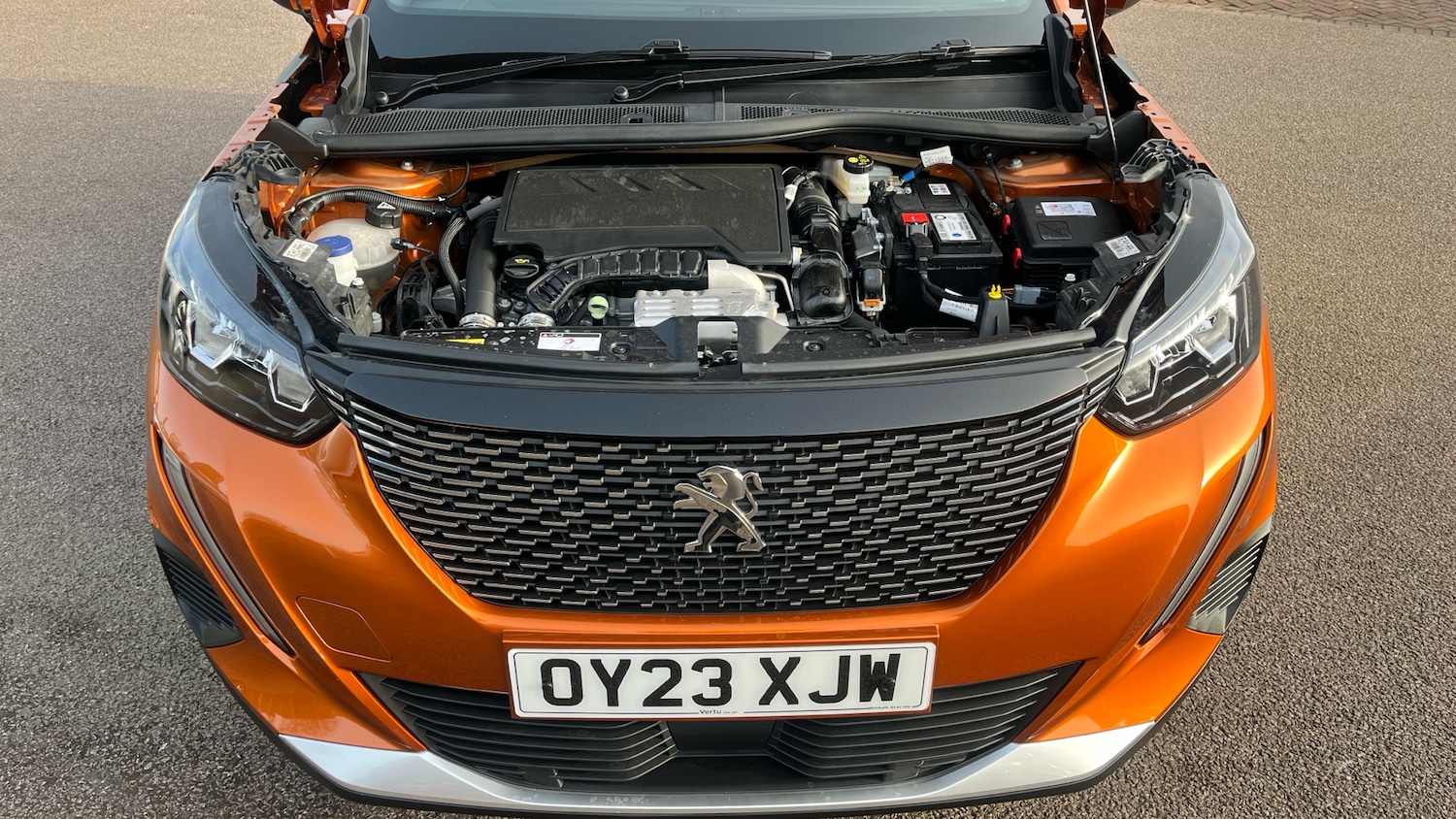 Used Peugeot 2008 2023 for sale - 77616575: Photo 8