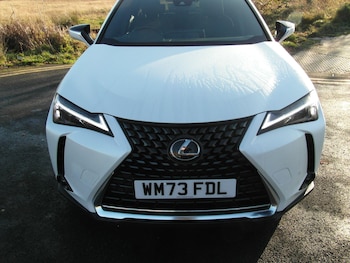 Used Lexus UX 2023 for sale - 76765320: Photo