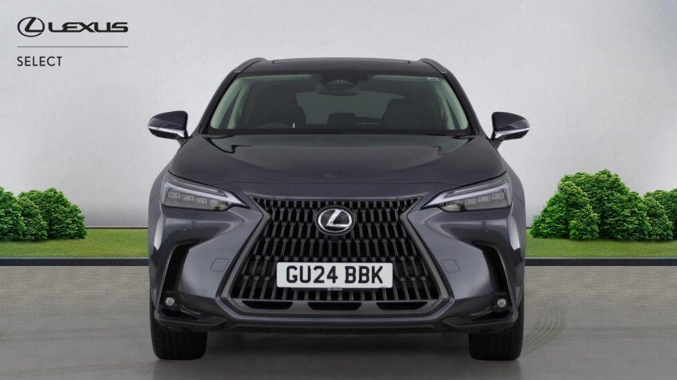 Used Lexus NX for sale - 77808930: Photo 4