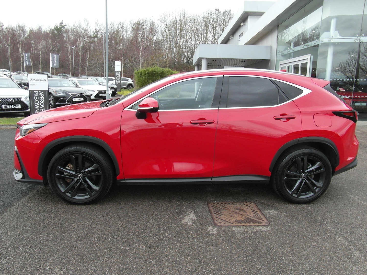 Used Lexus NX 2023 for sale - 77524704: Photo 10