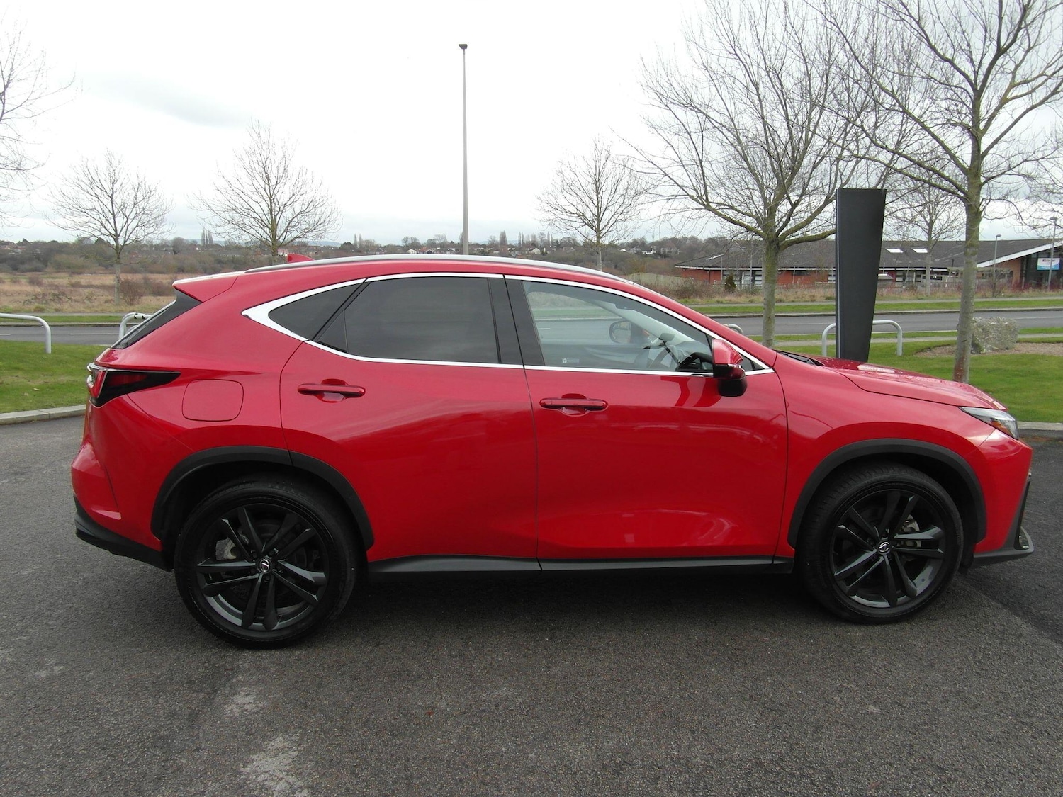 Used Lexus NX 2023 for sale - 77524704: Photo 12