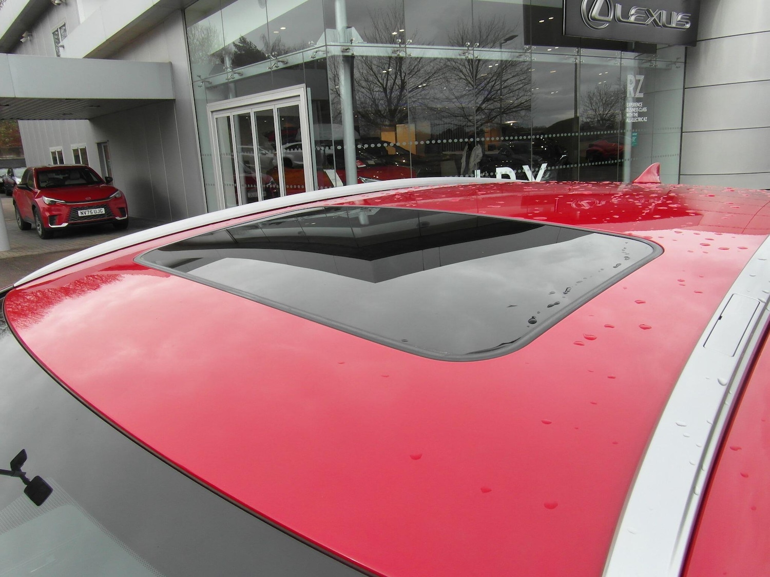 Used Lexus NX 2023 for sale - 77524704: Photo 34