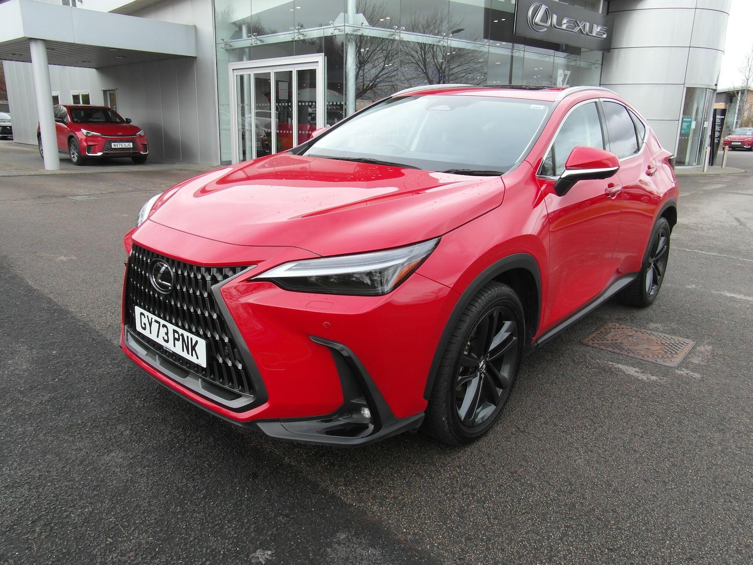 Used Lexus NX 2023 for sale - 77524704: Photo 5