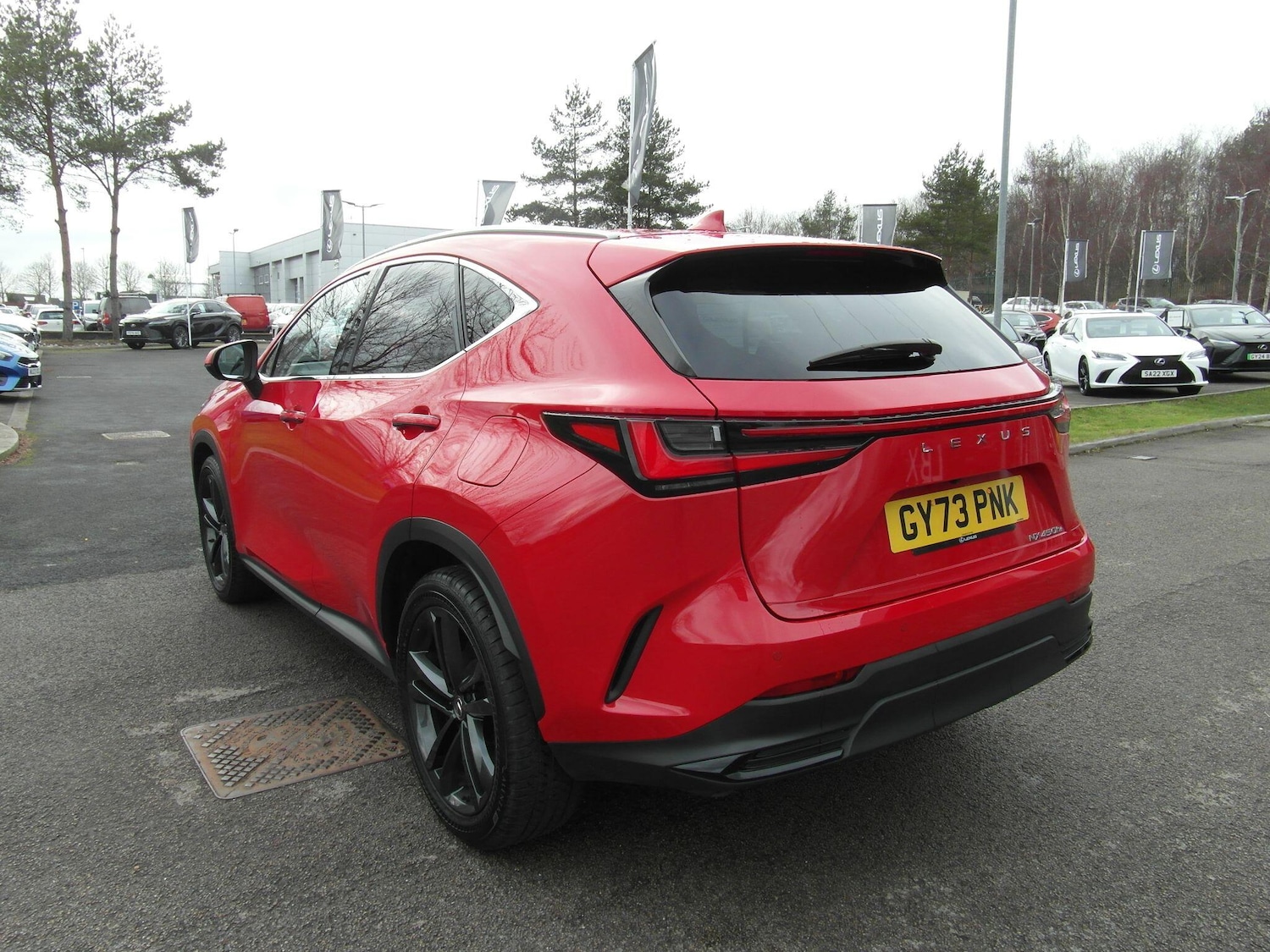 Used Lexus NX 2023 for sale - 77524704: Photo 6
