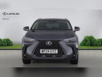 Used Lexus NX 2024 for sale - 77808928: Photo