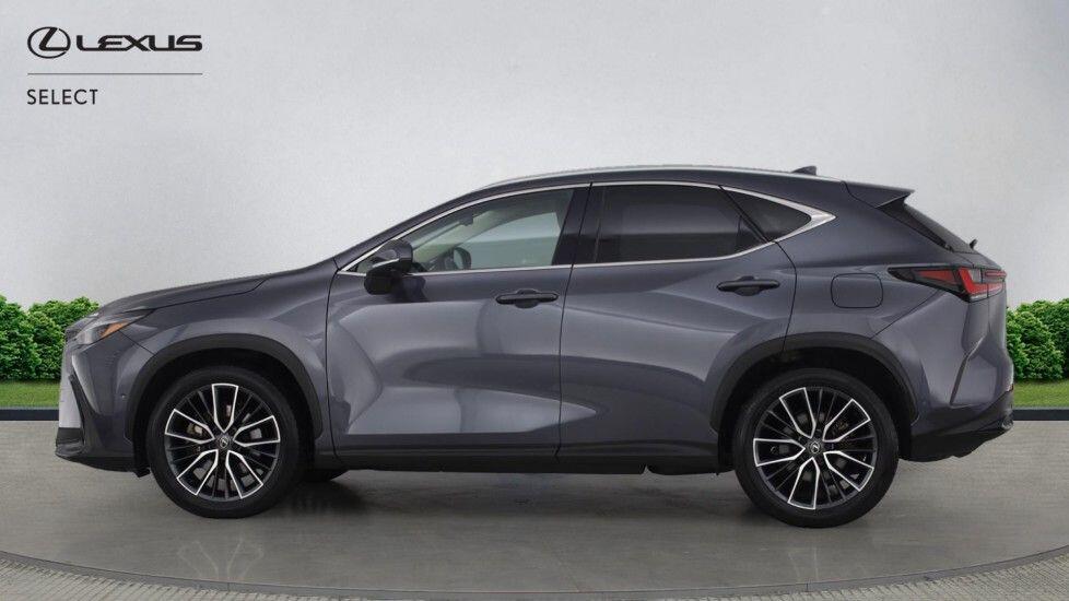 Used Lexus NX for sale - 77808928: Photo 7
