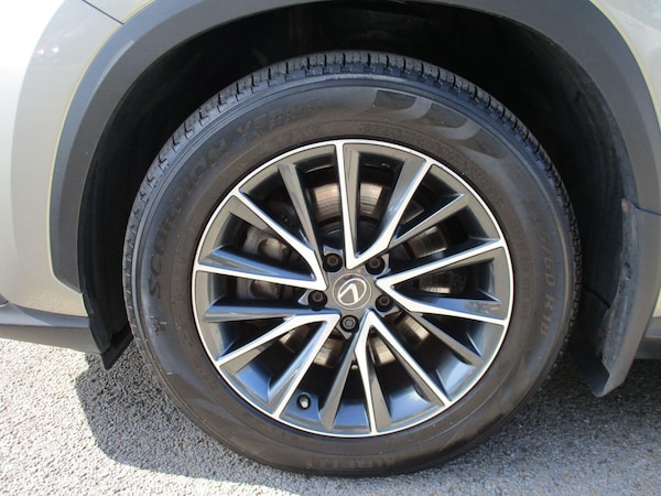 Used Lexus NX 2022 for sale - 75494032: Photo 10