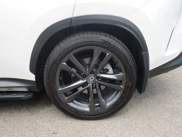 Used Lexus NX 2025 for sale - 75494033: Photo 29