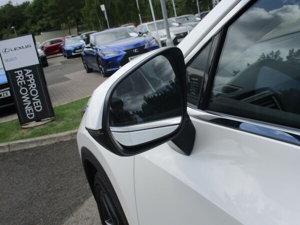 Used Lexus NX 2025 for sale - 75494033: Photo 31