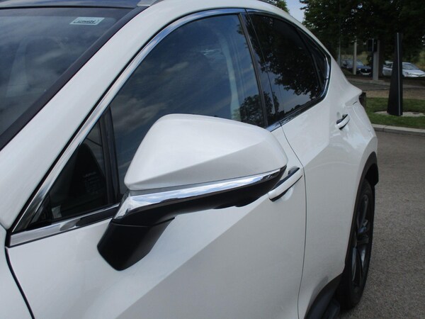 Used Lexus NX 2025 for sale - 75494033: Photo 32