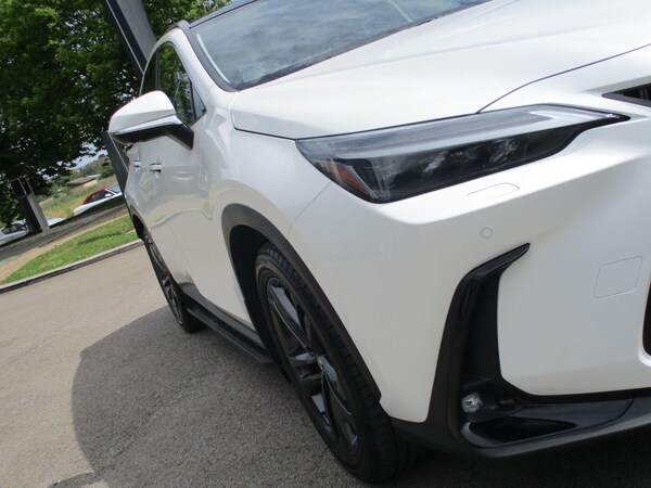 Used Lexus NX 2025 for sale - 75494033: Photo 37