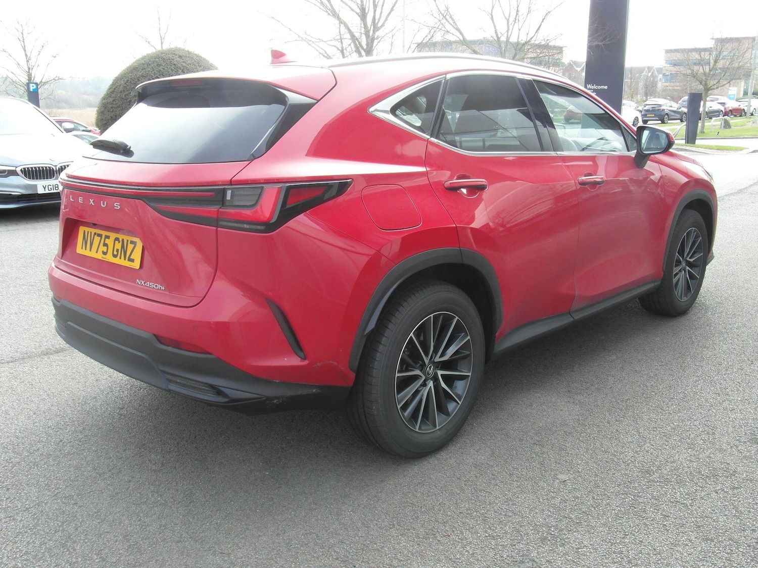Used Lexus NX 2025 for sale - 77550183: Photo 13