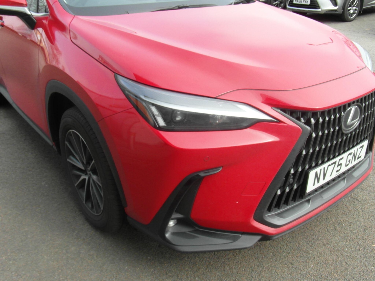 Used Lexus NX 2025 for sale - 77550183: Photo 31