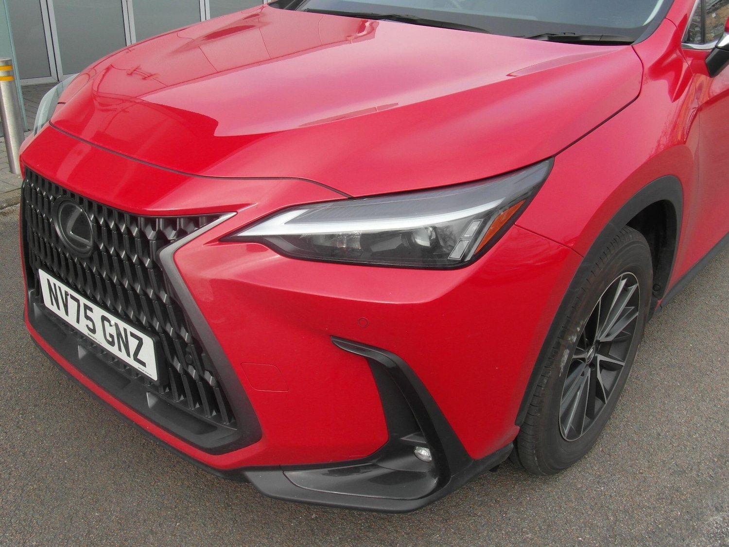 Used Lexus NX 2025 for sale - 77550183: Photo 32