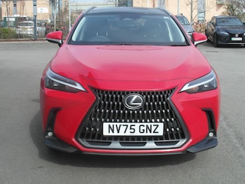 Used Lexus NX 2025 for sale - 77550183: Photo