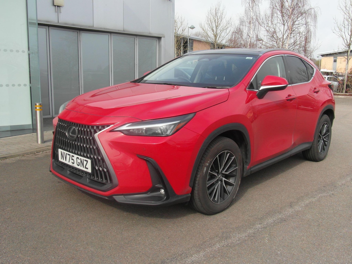 Used Lexus NX 2025 for sale - 77550183: Photo 5