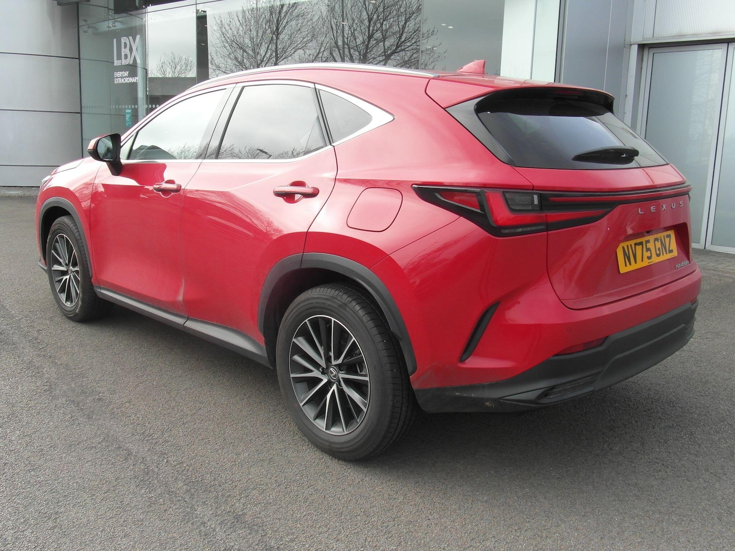 Used Lexus NX 2025 for sale - 77550183: Photo 6