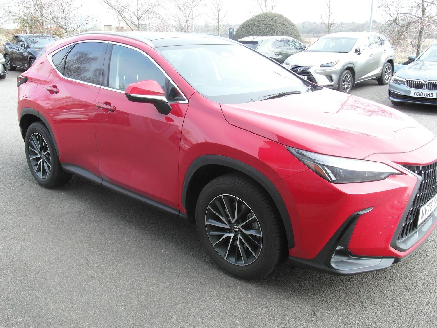 Used Lexus NX 2025 for sale - 77550183: Photo 7