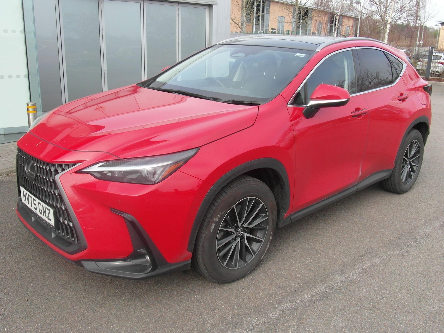 Used Lexus NX 2025 for sale - 77550183: Photo 9