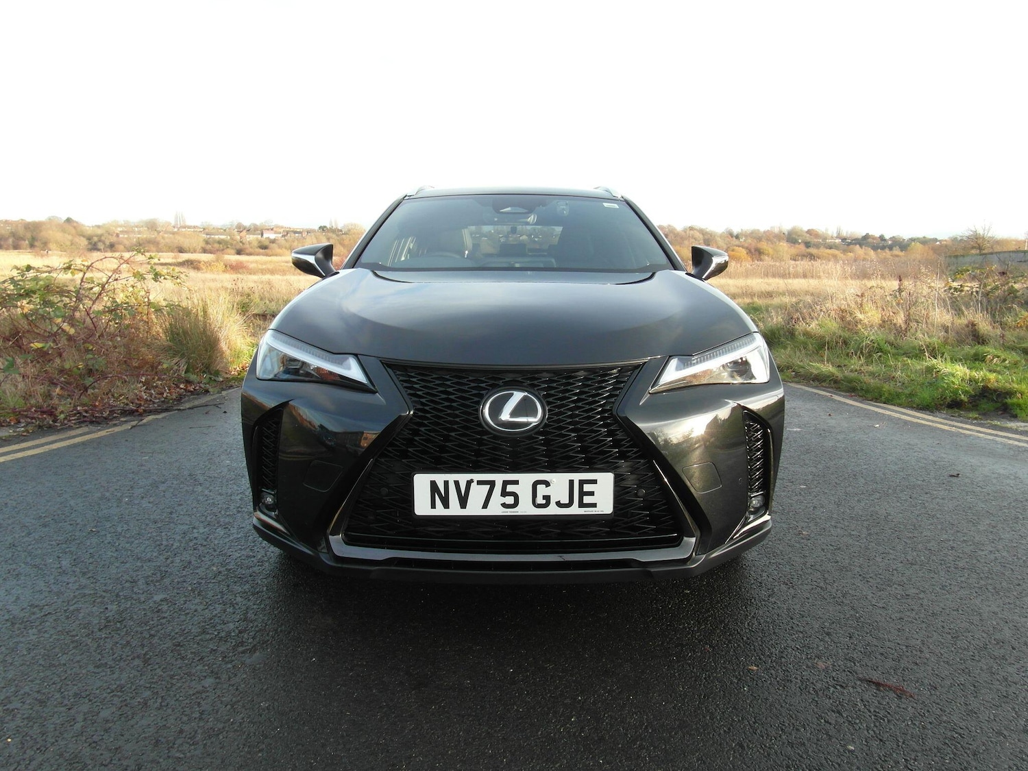 Used Lexus UX 2025 for sale - 76802182: Photo 4