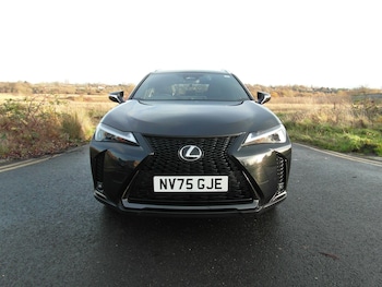 Used Lexus UX 2025 for sale - 76802182: Photo