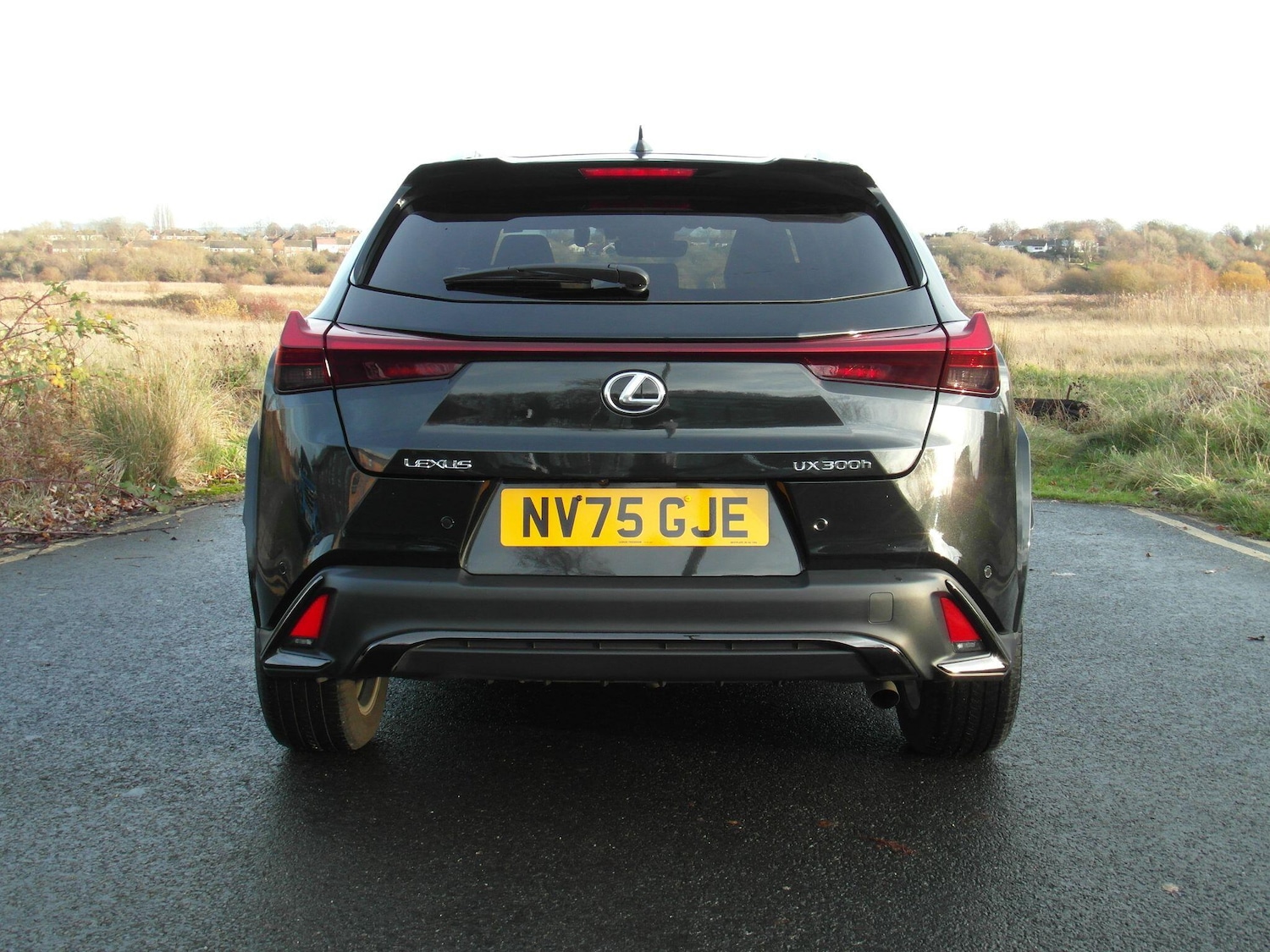 Used Lexus UX 2025 for sale - 76802182: Photo 9