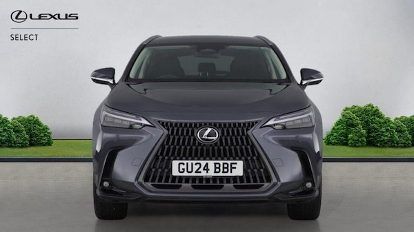 Used Lexus NX 2024 for sale - 76294850: Photo 10