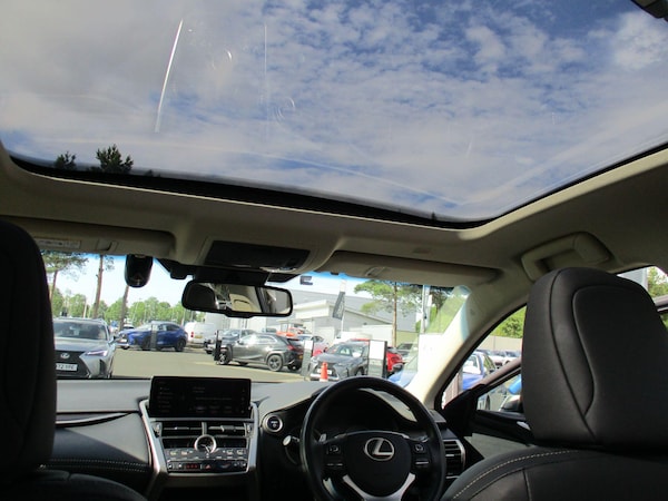 Used Lexus NX 2019 for sale - 75302108: Photo 19