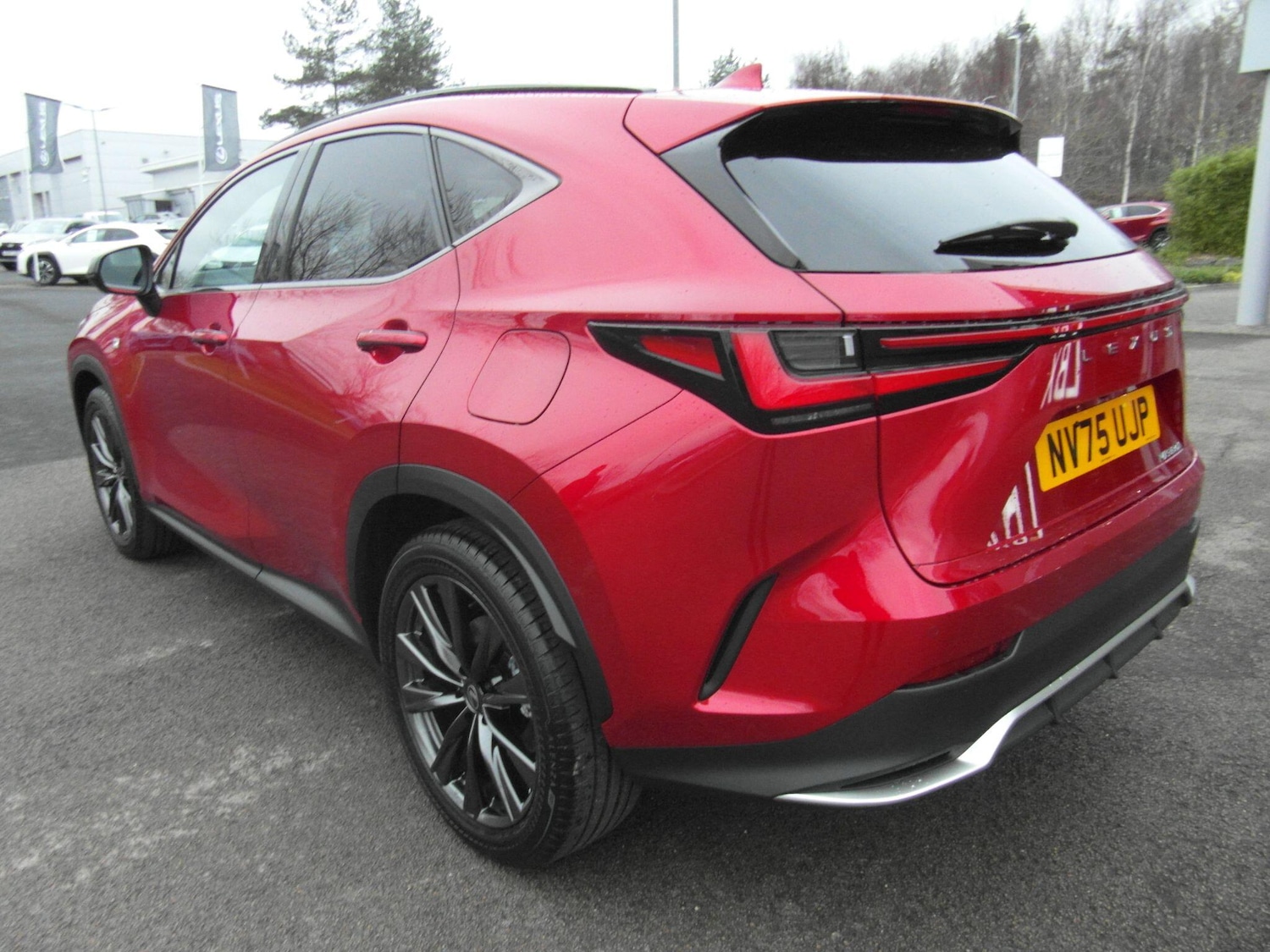Used Lexus NX 2026 for sale - 77439970: Photo 6