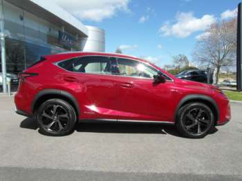 Used Lexus NX 2019 for sale - 74173932: Photo