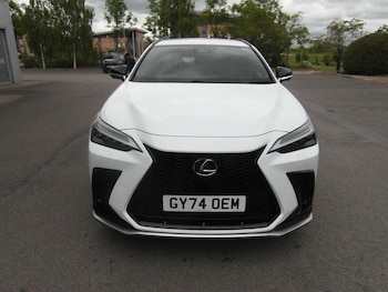 Used Lexus NX 2024 for sale - 78830407: Photo