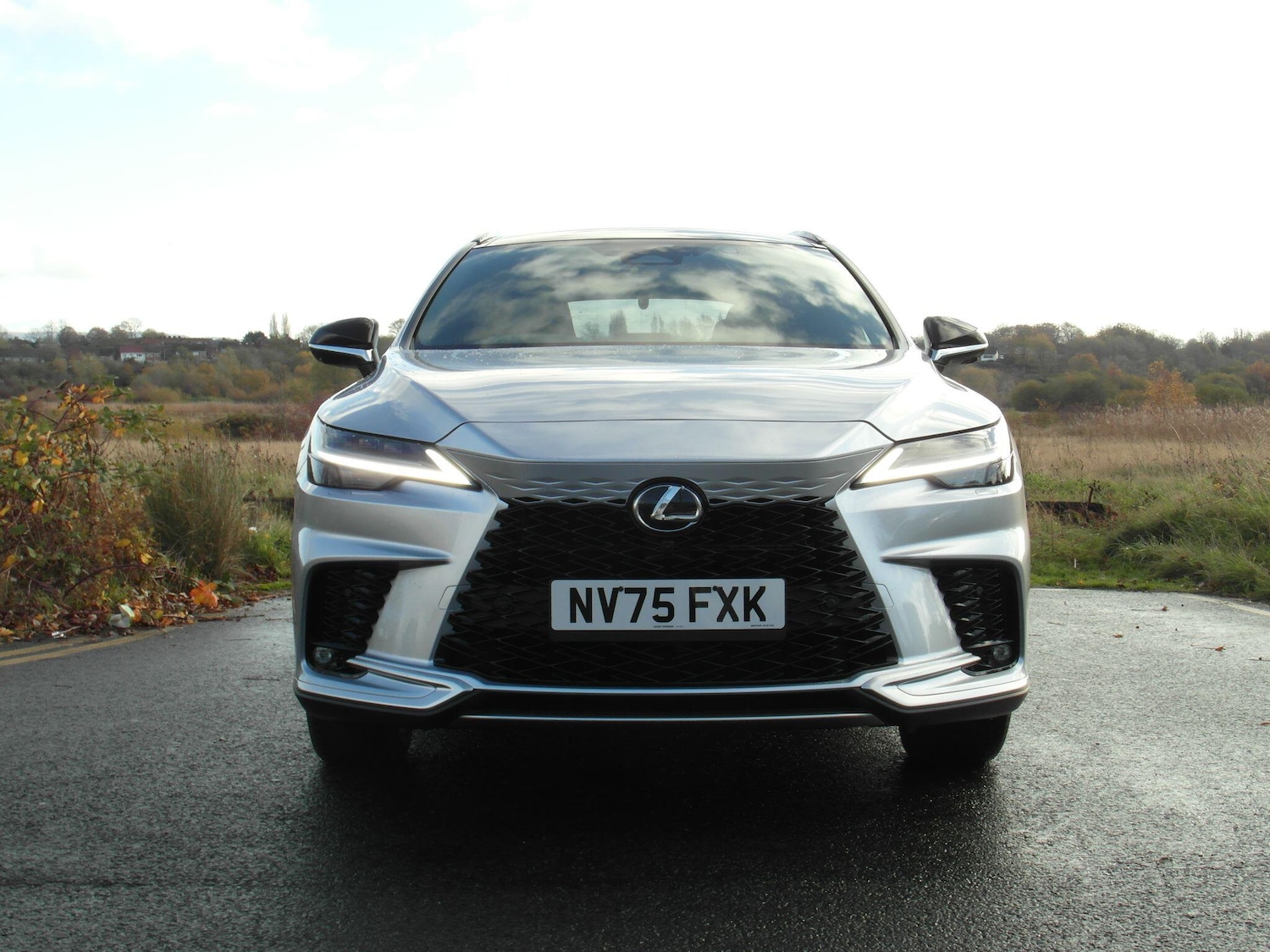 Used Lexus RX 2025 for sale - 76538839: Photo 10