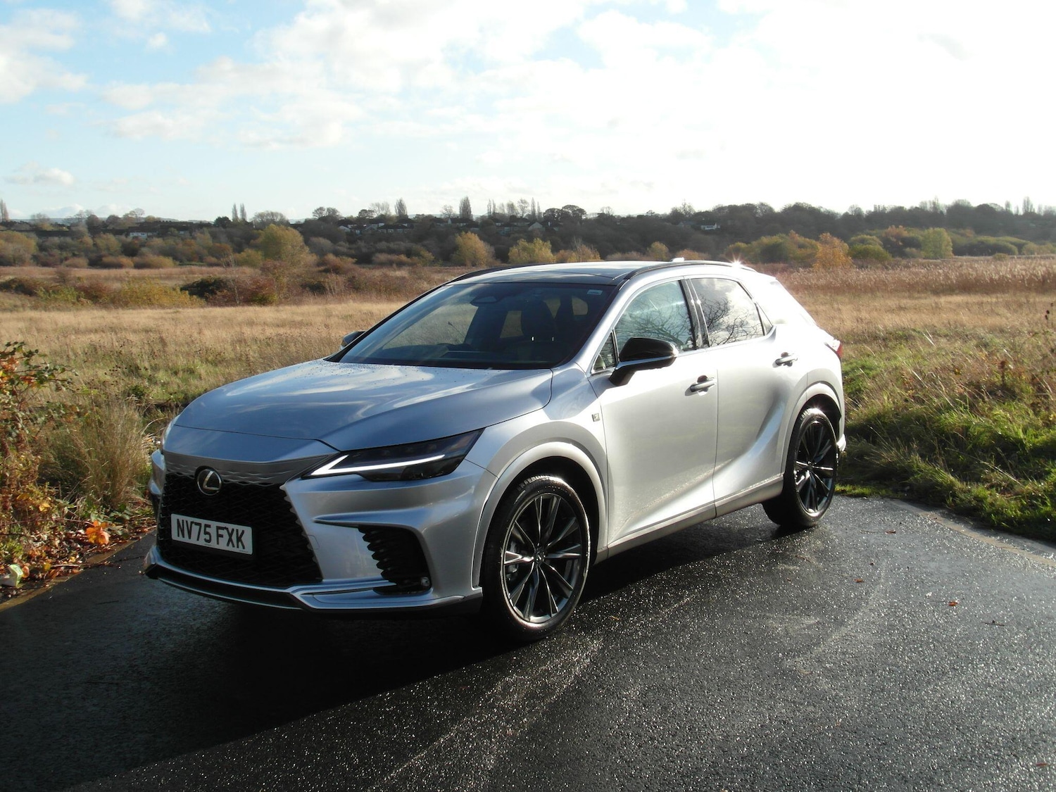 Used Lexus RX 2025 for sale - 76538839: Photo 11