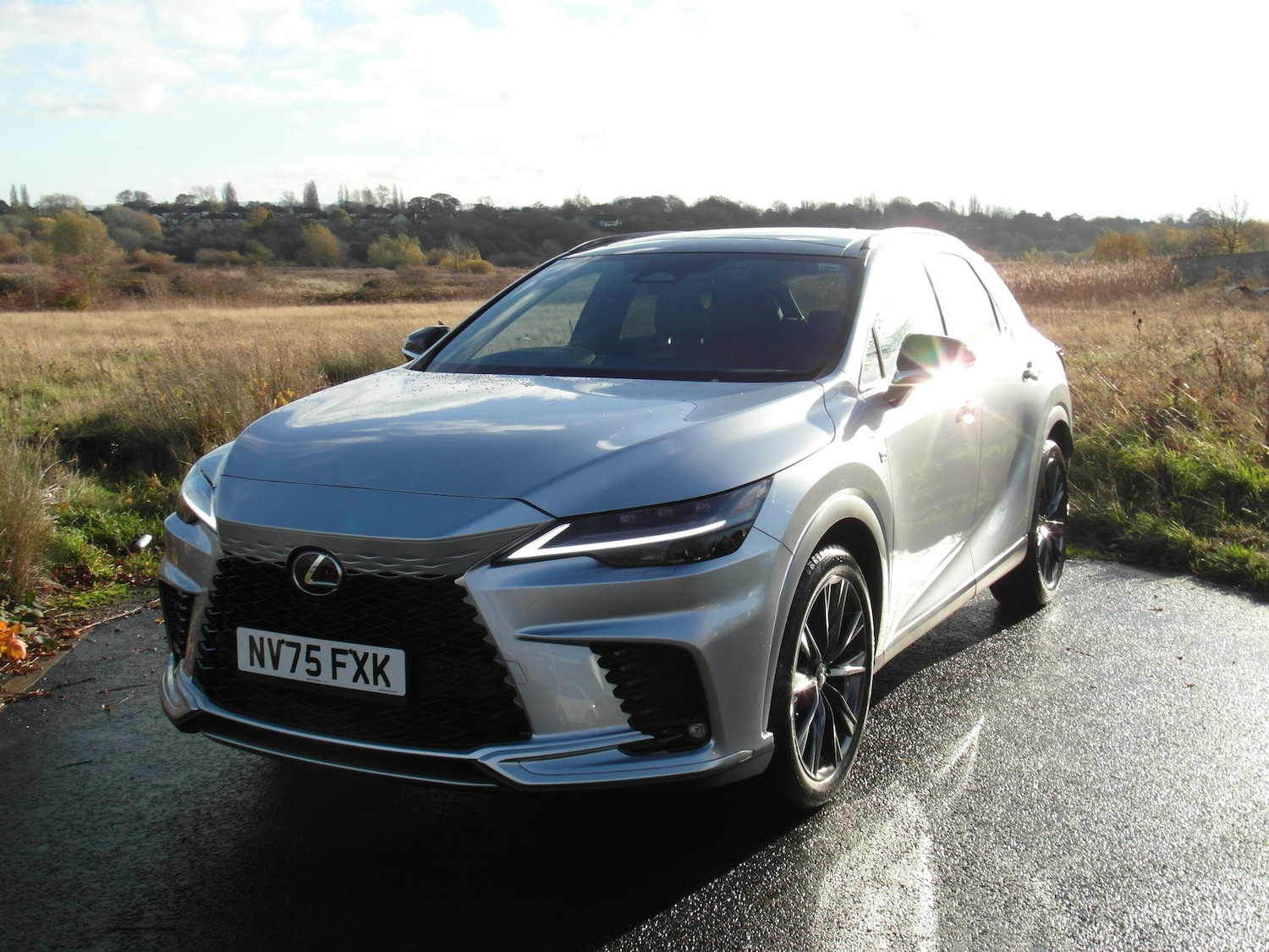 Used Lexus RX 2025 for sale - 76538839: Photo 4