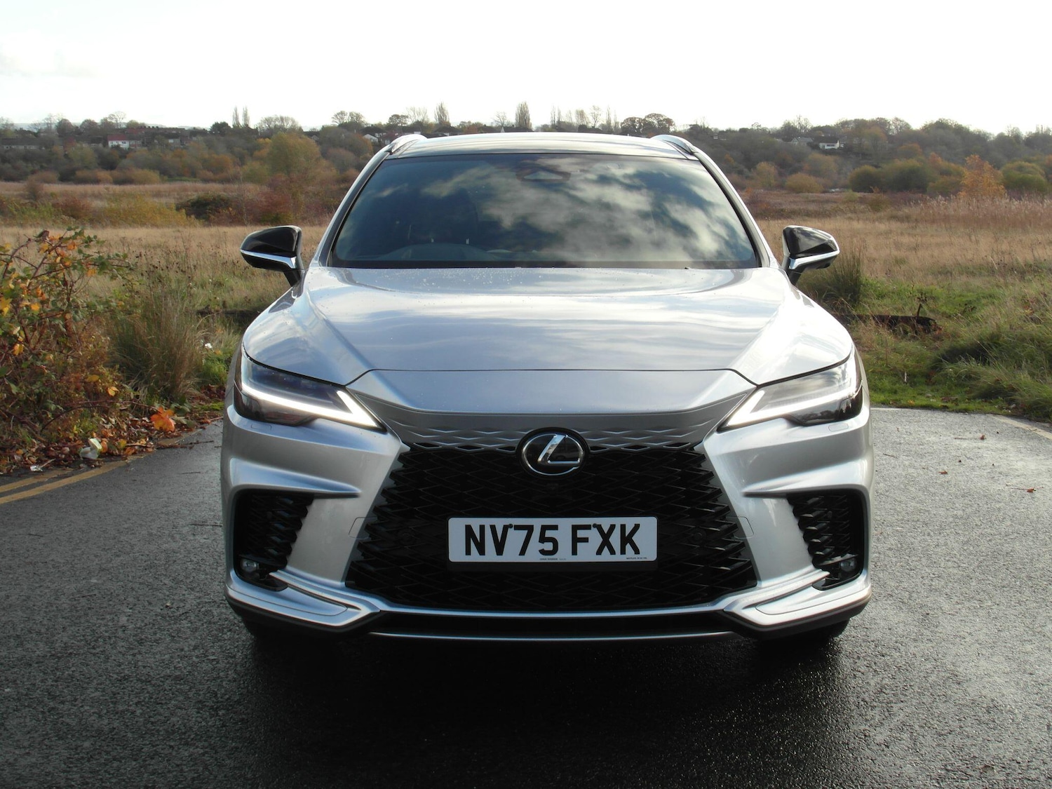 Used Lexus RX 2025 for sale - 76538839: Photo 8