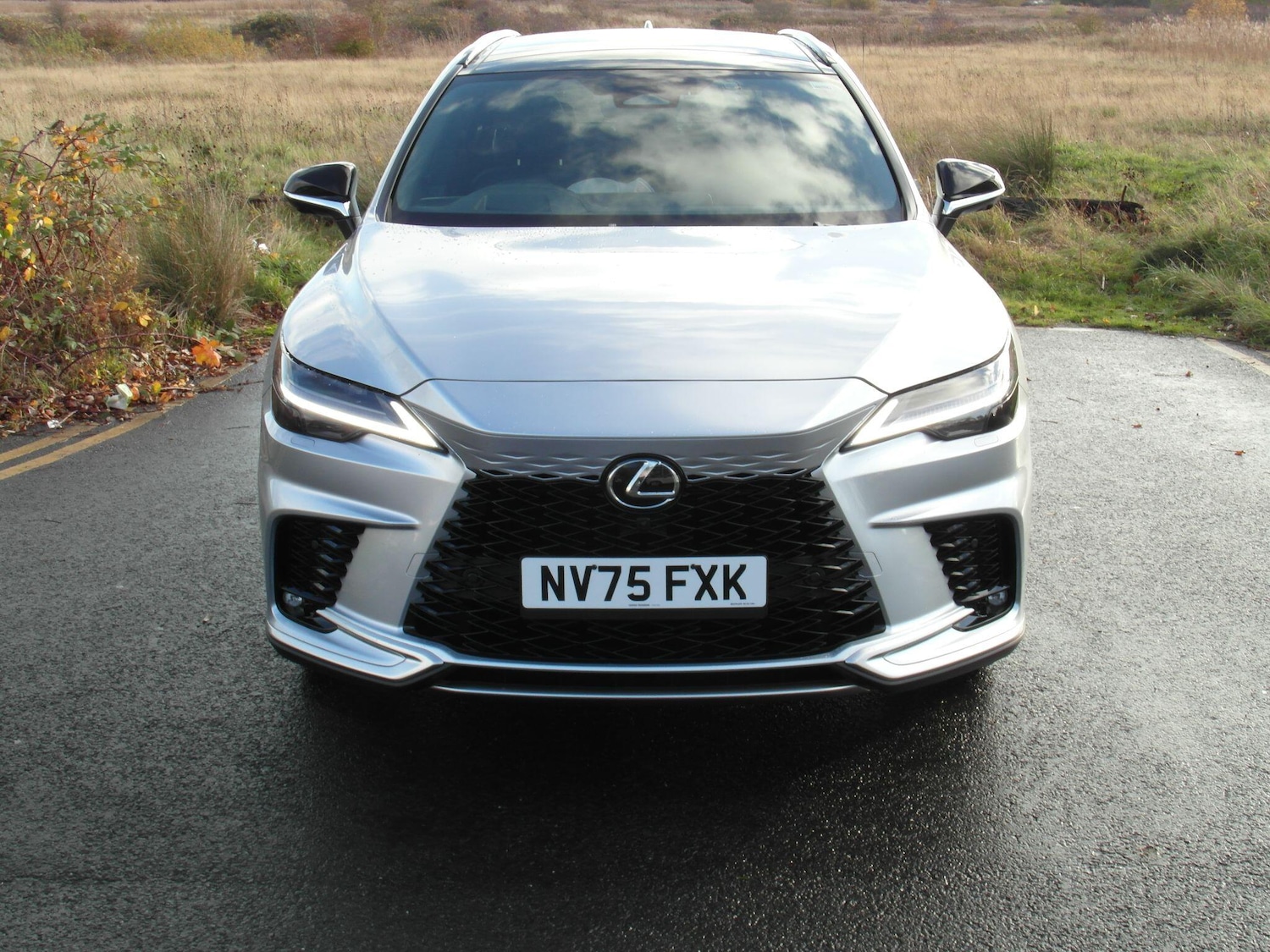 Used Lexus RX 2025 for sale - 76538839: Photo 9