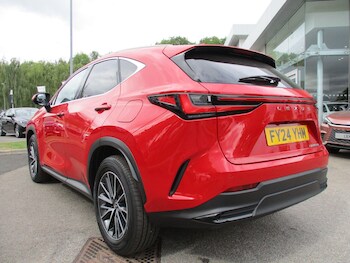 Used Lexus NX 2024 for sale - 75769021: Photo